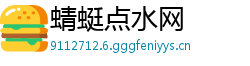 蜻蜓点水网